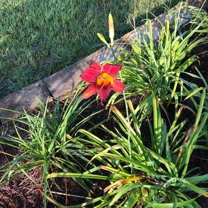 Meet your Posher, Terri